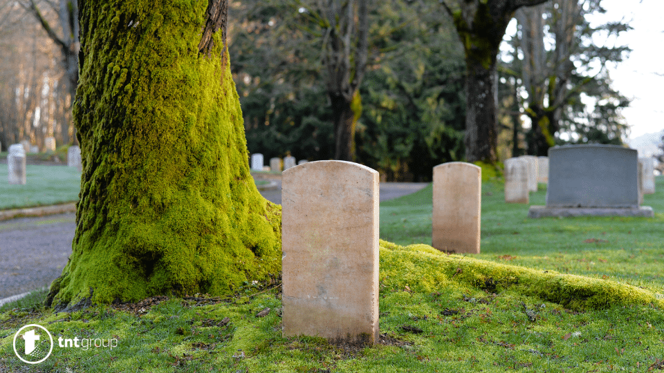 Šta znači sanjati groblje?