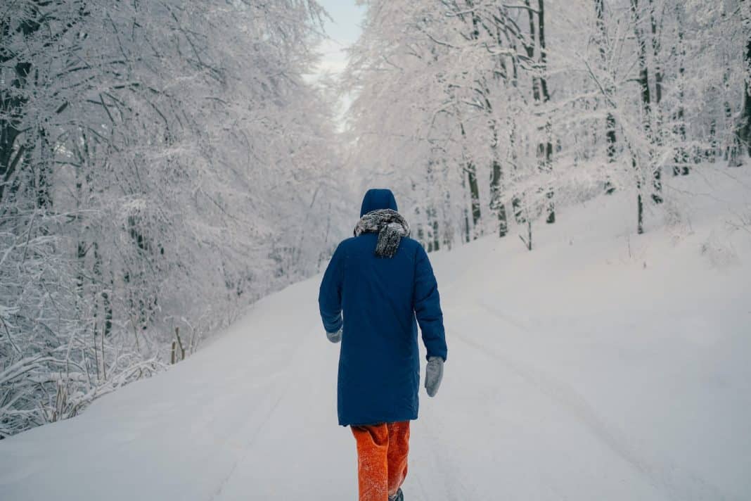 nenad-radojcic-QC87clLWzUw-unsplash zimovanje