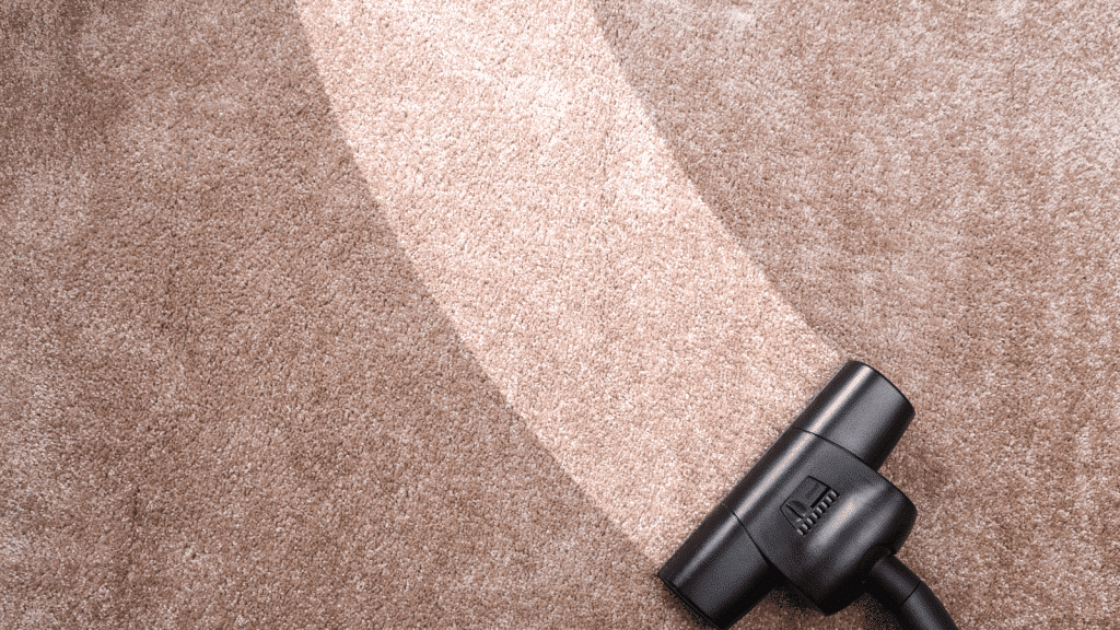 Karcher usisivači