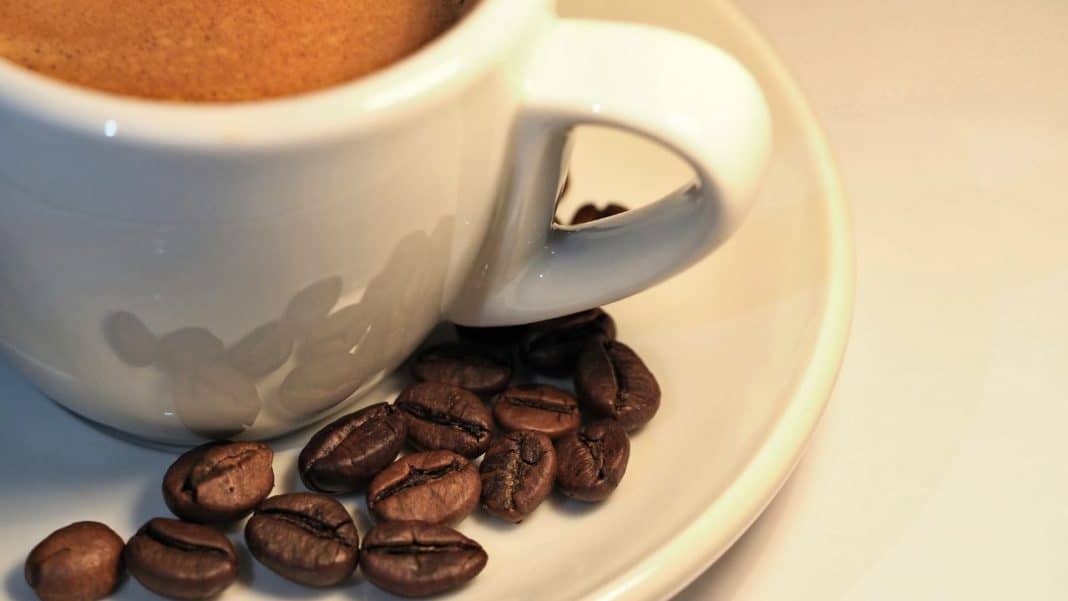 Najbolja kafa u zrnu Najbolja kafa u zrnu