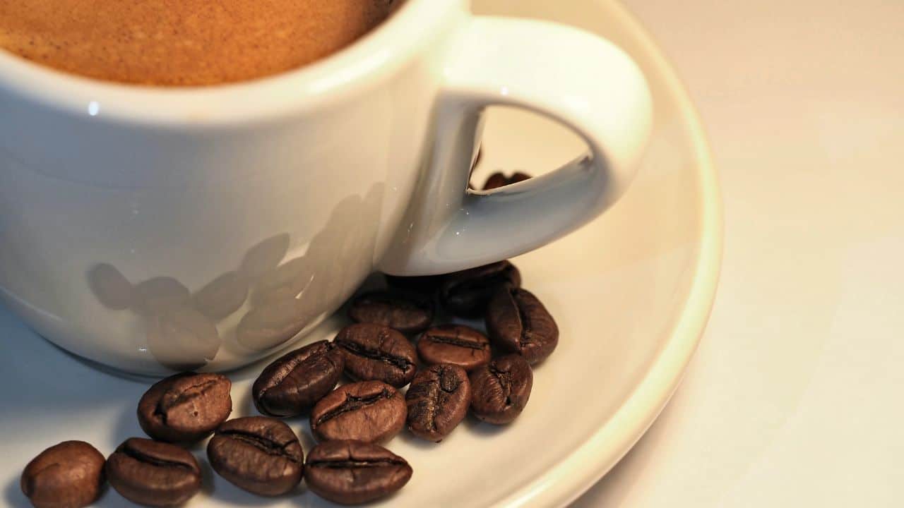 Najbolja kafa u zrnu – kako pronaći idealan okus za svoj jutarnji ritual